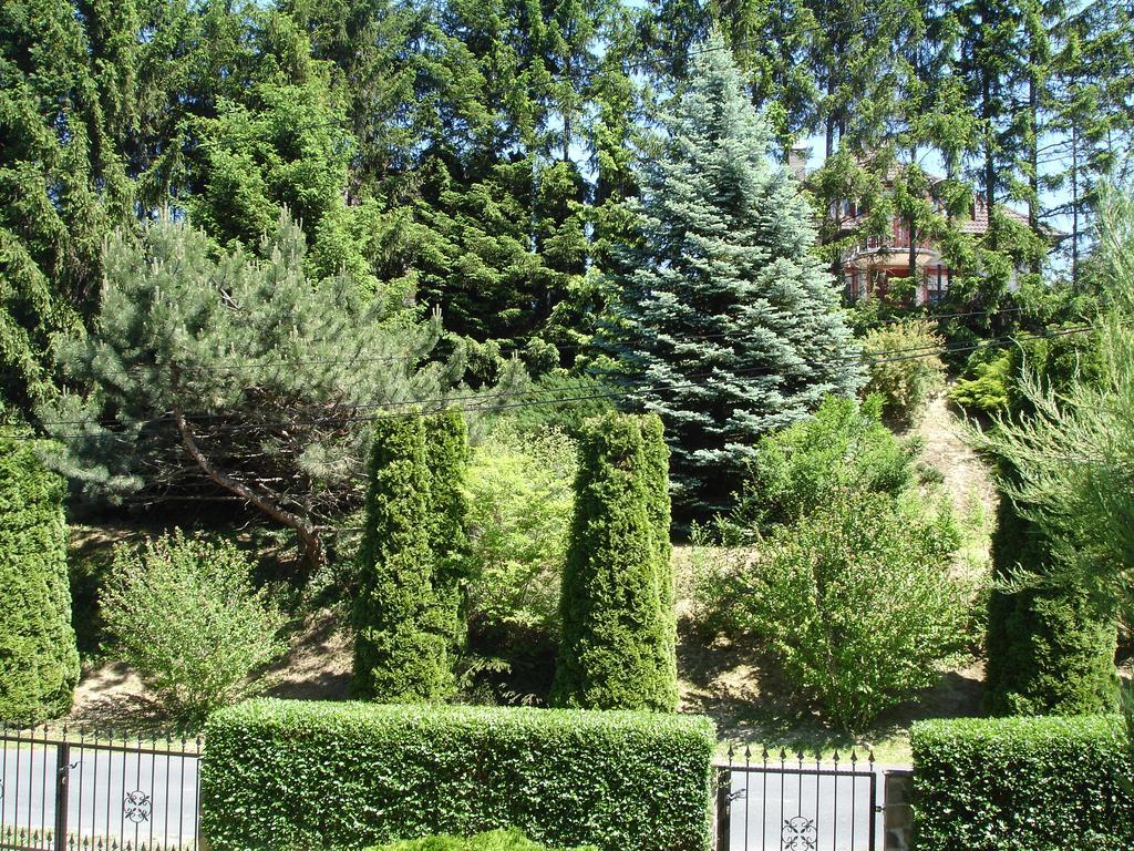 Biro Apartman Zalakaros Exterior foto